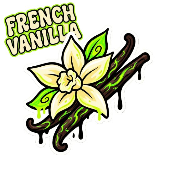 Vanilla